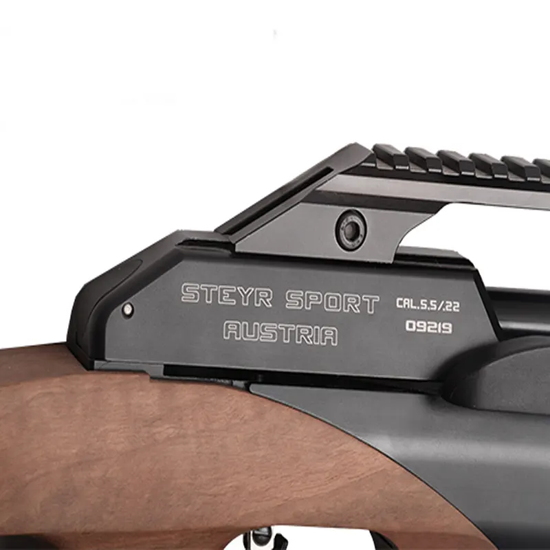 تفنگ بادی اشتایر ا